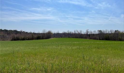 Photo #3 of 61 Holy Neck Road, Suffolk, Virginia 105.2 acres