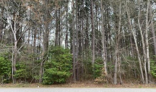 Photo #2 of 2.12ac Gilliam Road, Yale, Virginia 2.1 acres