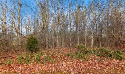 Photo #1 of 3525 Doral, Tobaccoville, NC 0.8 acres