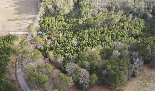 Photo #4 of 40ac Union Hill Road, Wakefield, Virginia 40.0 acres