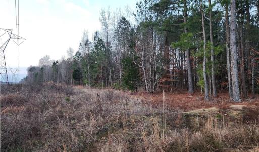 Photo #3 of SOLD property in 3900 Hog Island Road, Surry, Virginia 12.6 acres