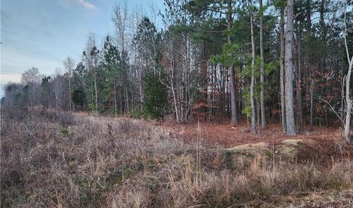 Photo #5 of SOLD property in 3900 Hog Island Road, Surry, Virginia 12.6 acres