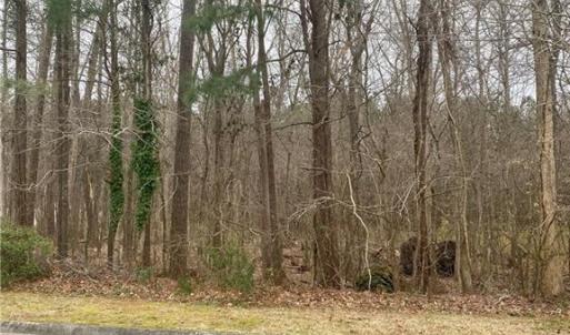 Photo #1 of 55+ac Taylor Farm, Virginia Beach, Virginia 56.0 acres