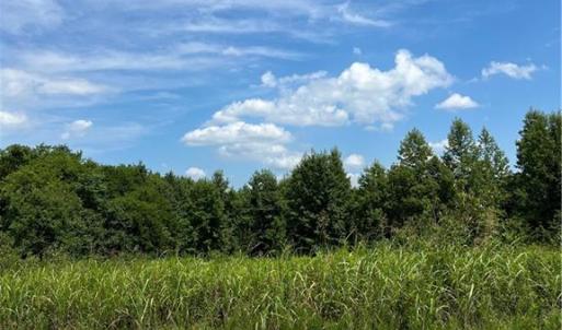 Photo #17 of SOLD property in Lot 12 Meredithville Drive, Brodnax, Virginia 3.6 acres