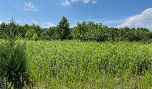 Photo #22 of SOLD property in Lot 12 Meredithville Drive, Brodnax, Virginia 3.6 acres