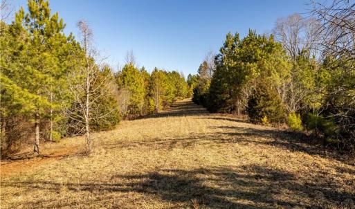 Photo #32 of 501 Racefield Drive, Toano, Virginia 130.0 acres