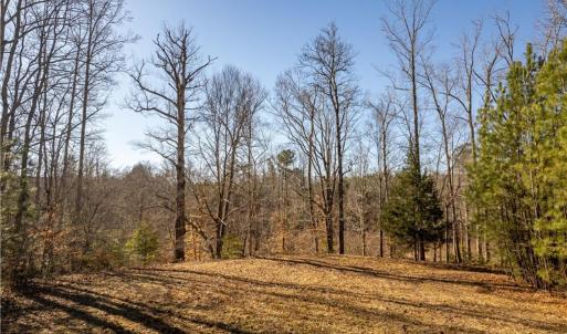 view from trail looking towards marsh