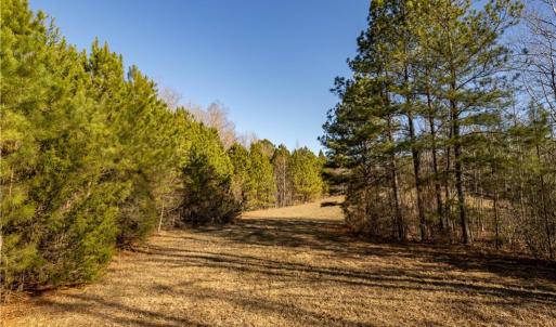 Photo #38 of 501 Racefield Drive, Toano, Virginia 130.0 acres