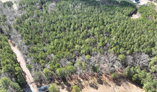 Photo #12 of 000 Jack Swamp Road, Pleasant Hill, North Carolina 13.3 acres