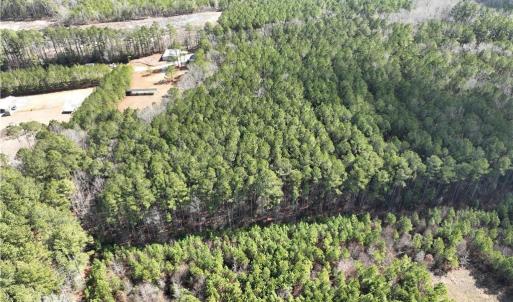 Photo #16 of 000 Jack Swamp Road, Pleasant Hill, North Carolina 13.3 acres