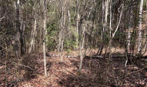 Photo #34 of 000 Jack Swamp Road, Pleasant Hill, North Carolina 13.3 acres