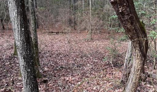 Photo #37 of 000 Jack Swamp Road, Pleasant Hill, North Carolina 13.3 acres