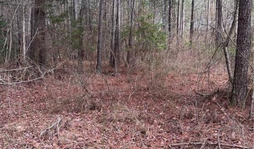 Photo #39 of 000 Jack Swamp Road, Pleasant Hill, North Carolina 13.3 acres