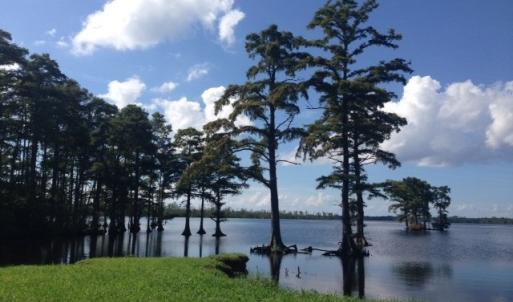 Photo #2 of 245 Cypress Road, Columbia, NC 0.6 acres