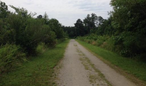 Photo #15 of 245 Cypress Road, Columbia, NC 0.6 acres