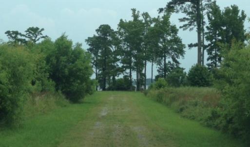 Photo #17 of 245 Cypress Road, Columbia, NC 0.6 acres