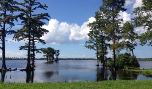 Photo #3 of 245 Cypress Road, Columbia, NC 0.6 acres