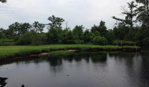Photo #18 of 245 Cypress Road, Columbia, NC 0.6 acres