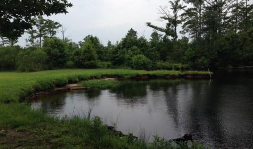 Photo #19 of 245 Cypress Road, Columbia, NC 0.6 acres