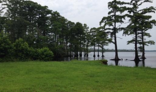 Photo #20 of 245 Cypress Road, Columbia, NC 0.6 acres