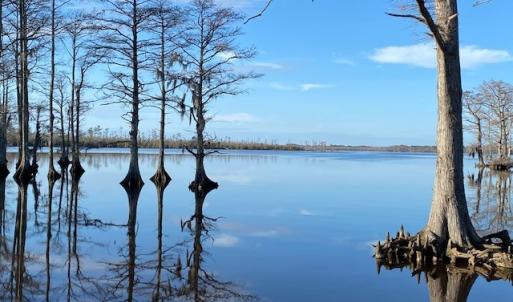 Photo #22 of 245 Cypress Road, Columbia, NC 0.6 acres
