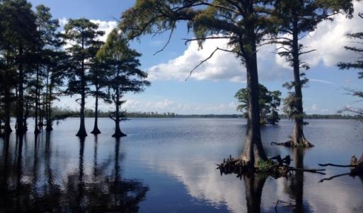 Photo #4 of 245 Cypress Road, Columbia, NC 0.6 acres