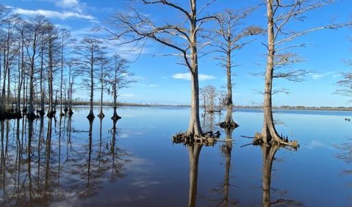 Photo #23 of 245 Cypress Road, Columbia, NC 0.6 acres