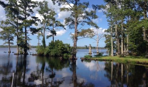Photo #7 of 245 Cypress Road, Columbia, NC 0.6 acres