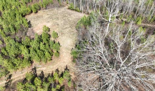 Photo #18 of SOLD property in 20+ac Masons Mill Road, Alberta, Virginia 20.8 acres