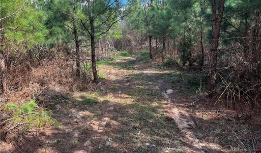 Photo #24 of SOLD property in 20+ac Masons Mill Road, Alberta, Virginia 20.8 acres