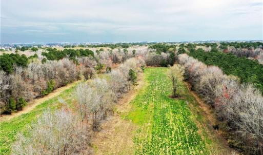 Photo #5 of 1073 Shillelagh Road, Chesapeake, Virginia 13.6 acres
