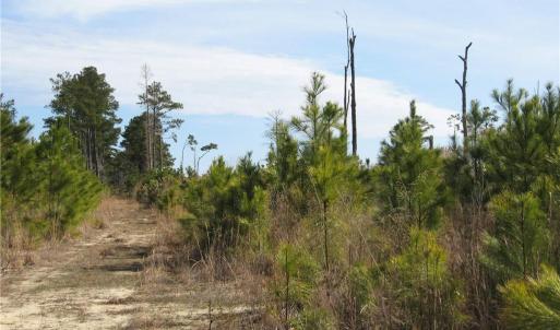 Photo #14 of 4161 Caratoke Highway, Barco, North Carolina 92.4 acres