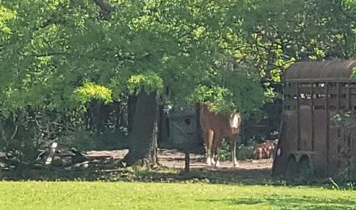 Photo #3 of 200 Hansford Lane, Seaford, Virginia 2.5 acres