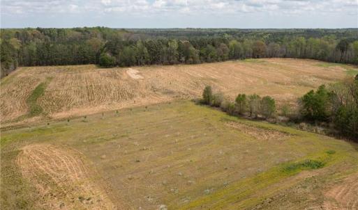 Photo #11 of 86 AC Holy Neck Road, Suffolk, Virginia 86.0 acres