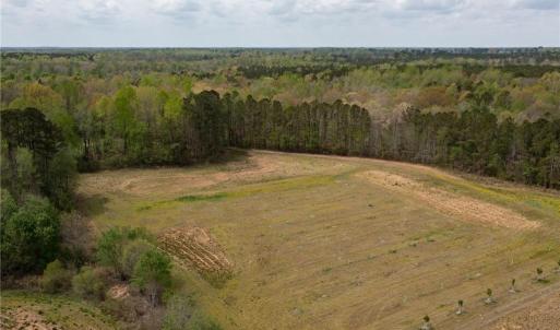 Photo #12 of 86 AC Holy Neck Road, Suffolk, Virginia 86.0 acres