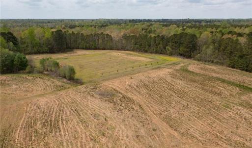 Photo #13 of 86 AC Holy Neck Road, Suffolk, Virginia 86.0 acres
