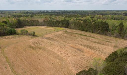 Photo #15 of 86 AC Holy Neck Road, Suffolk, Virginia 86.0 acres