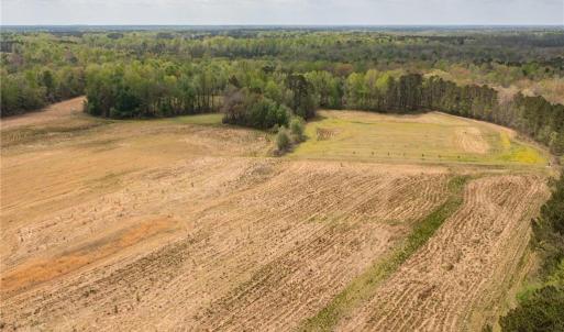Photo #17 of 86 AC Holy Neck Road, Suffolk, Virginia 86.0 acres