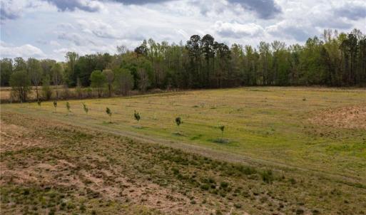 Photo #19 of 86 AC Holy Neck Road, Suffolk, Virginia 86.0 acres