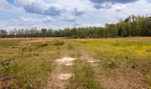 Photo #20 of 86 AC Holy Neck Road, Suffolk, Virginia 86.0 acres