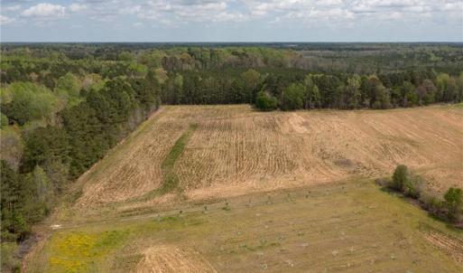 Photo #3 of 86 AC Holy Neck Road, Suffolk, Virginia 86.0 acres