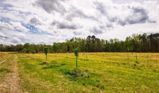 Photo #22 of 86 AC Holy Neck Road, Suffolk, Virginia 86.0 acres