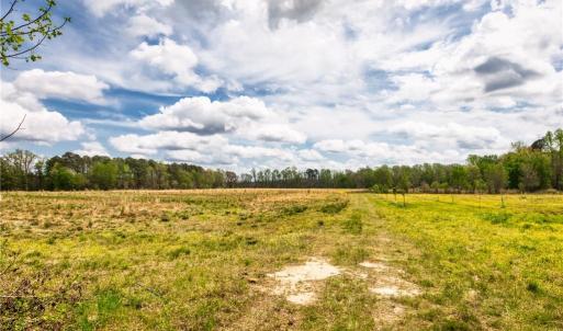 Photo #24 of 86 AC Holy Neck Road, Suffolk, Virginia 86.0 acres