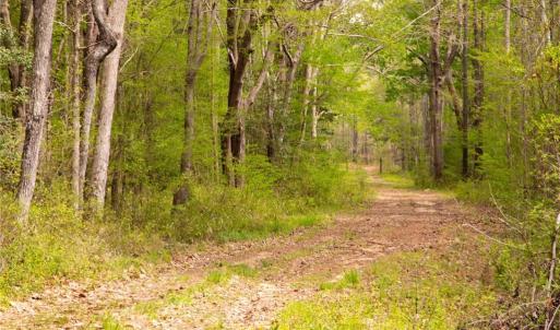 Photo #28 of 86 AC Holy Neck Road, Suffolk, Virginia 86.0 acres