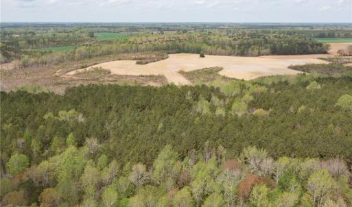 Photo #7 of 86 AC Holy Neck Road, Suffolk, Virginia 86.0 acres