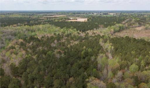 Photo #8 of 86 AC Holy Neck Road, Suffolk, Virginia 86.0 acres