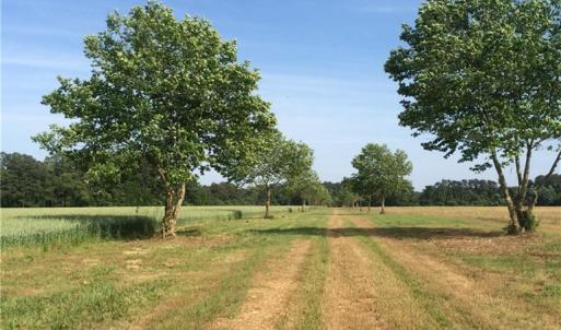 Photo #3 of Lot 13 Metompkin Road, Nelsonia, Virginia