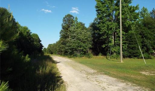 Road to entrance