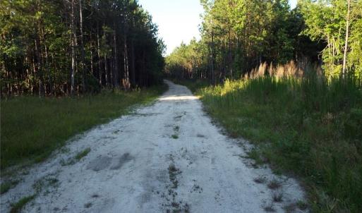 Path through land