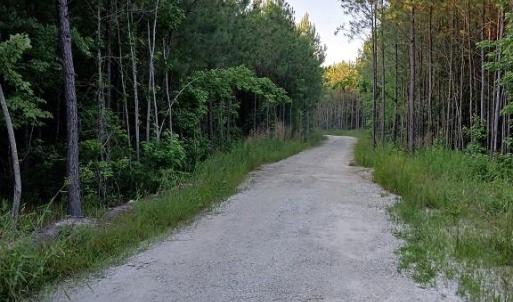 Photo #5 of 801 Brick Yard Road, Emporia, Virginia 10.0 acres